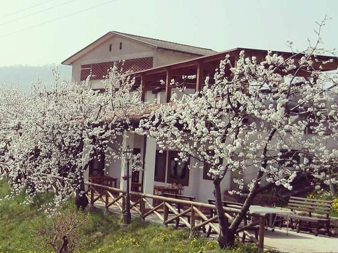 Agriturismo Al Ciliegio Villa Marostica Eksteriør billede